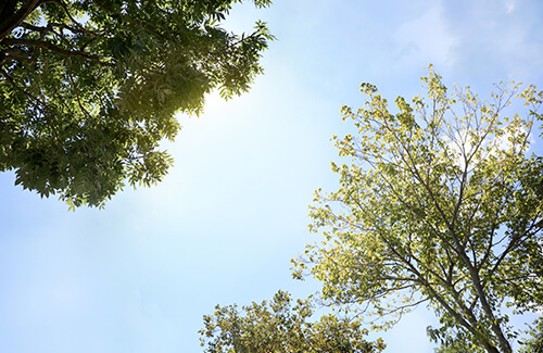 climate monitoring